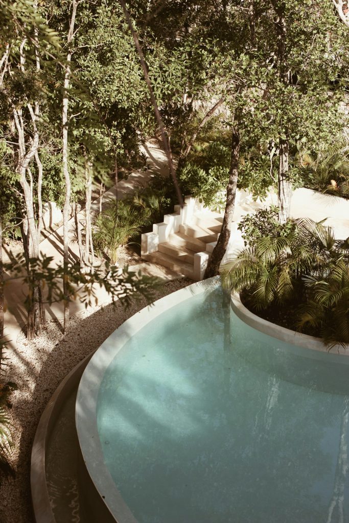 Hotel for sale by owner: a curved pool shaded by jungle trees at a boutique hotel in Mexico